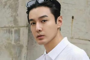 张昊唯税务风波与聊天记录曝光，涉及金晨江疏影