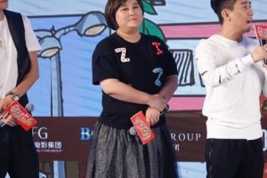 沈腾林允恋情生子传闻真相揭秘