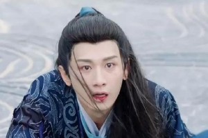 《琉璃》成毅走红：老实人禹司凤的幕后故事