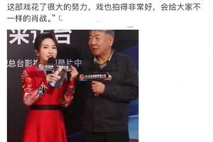 肖战《藏海传》古装权谋剧：科学复仇颠覆传统