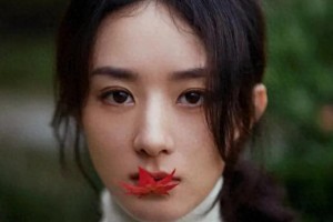 精彩图片集锦：视觉盛宴一览