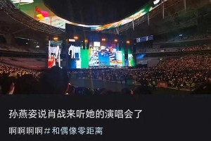孙燕姿上海演唱会肖战惊喜现身，追星成功引热议