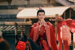 张晚意：荧幕婚礼专业户的演技突破之路