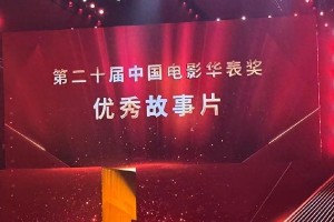 华表奖与金像奖撞期，刘亦菲李现陈晓亮相导演之夜