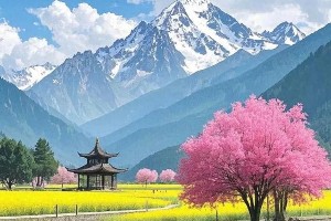 张一凡瘦身秘诀：生活习惯改变轻松减30斤
