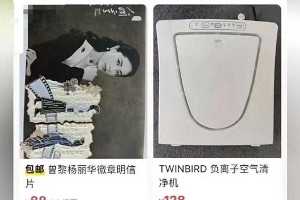赵露思热搜风波：从抑郁症到综艺争议